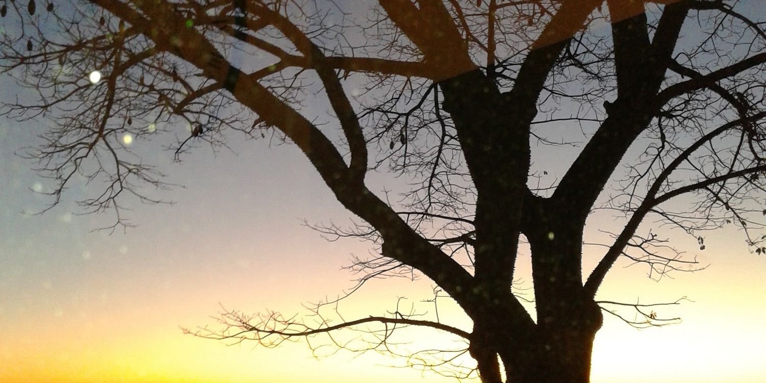 viqigomez29's profile banner image