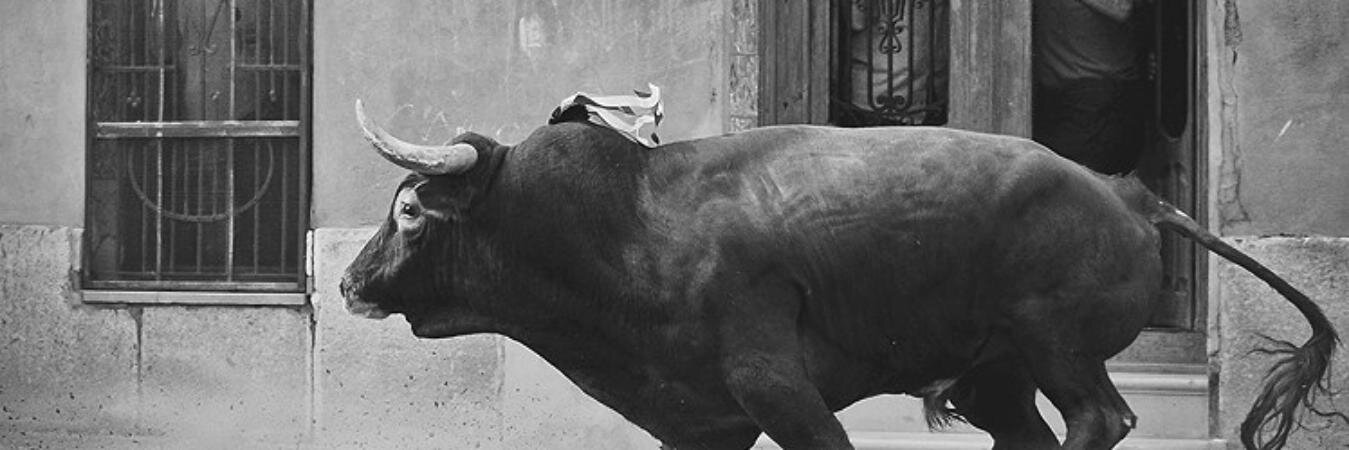 Alejandro Piquer banner