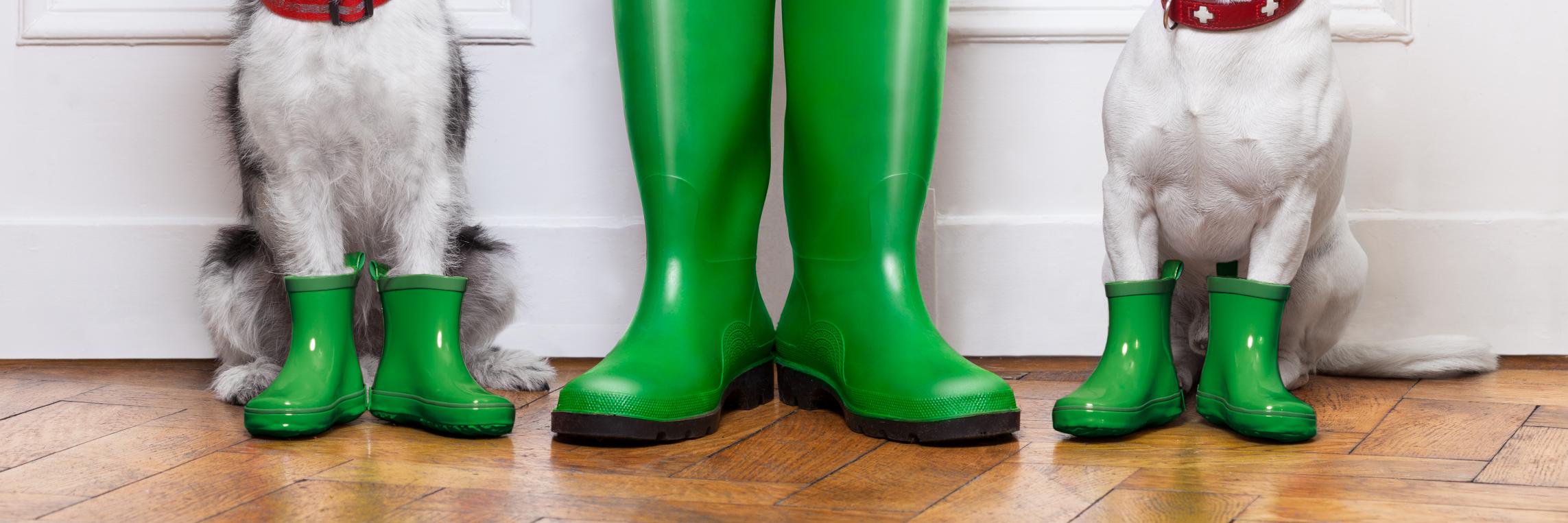 PJ's Pet Centres banner