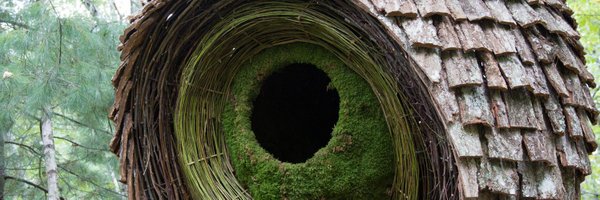 TimNorrisArt Profile Banner