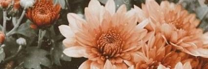 t1n4ds's profile banner image