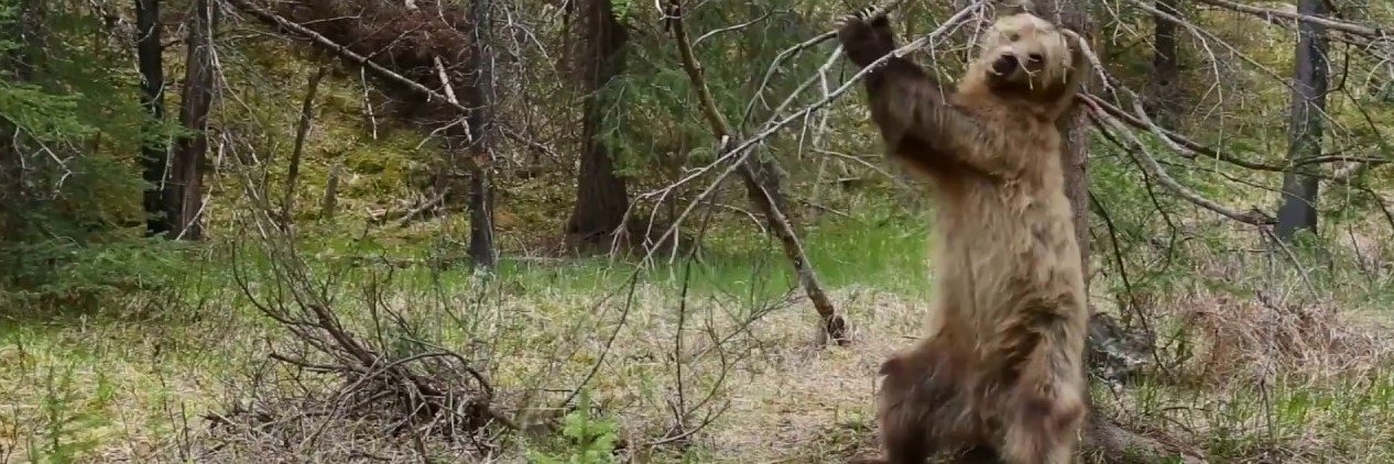 Mustafa Yavaş banner