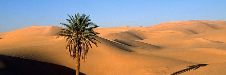 ابوفارس banner