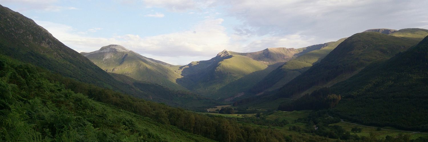 Helen Pluess-Hall banner