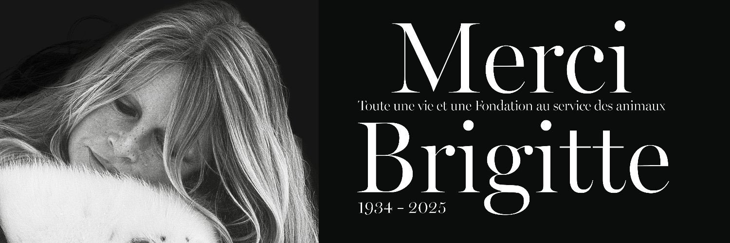 Fabien Engelmann banner