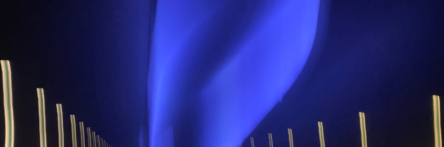 dsh banner