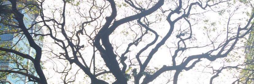 nathiya007's profile banner image