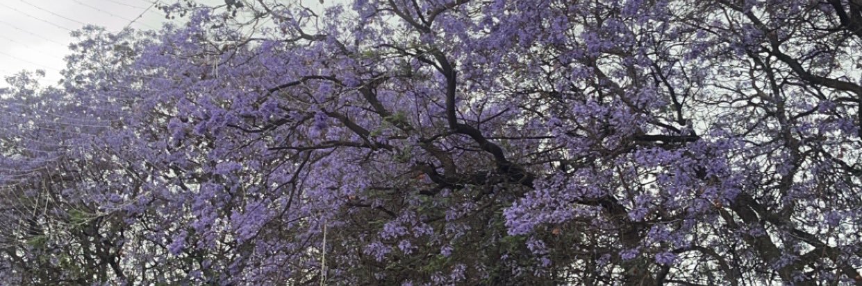 Azmm416's profile banner image