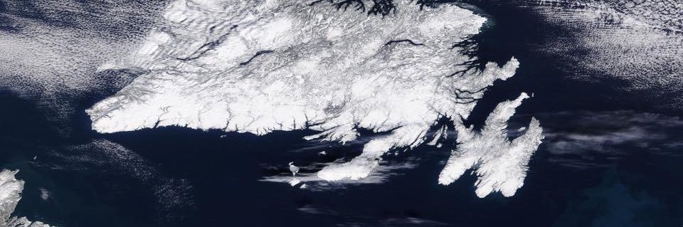 Mitchell Dobbin banner