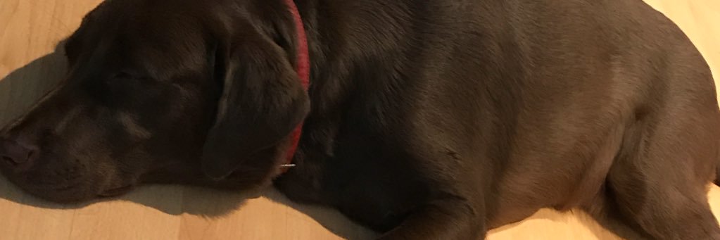___mdjg's profile banner image