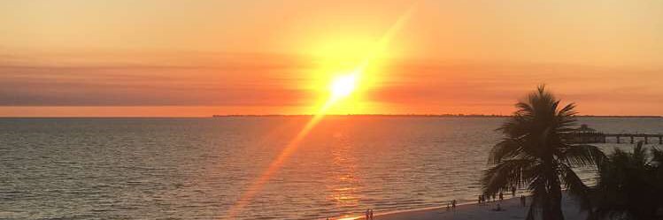allysonhoward4's profile banner image