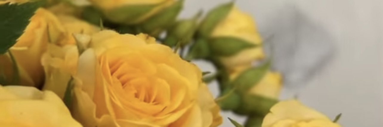 amase111's profile banner image