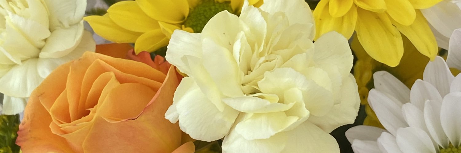 ginabarquet's profile banner image