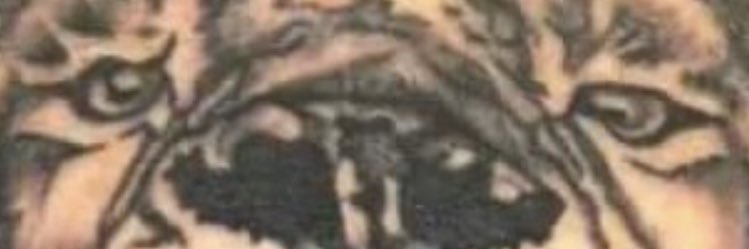 FRO_____'s profile banner image