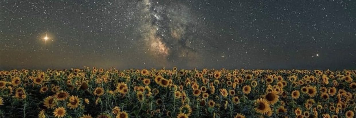 chloerober_son's profile banner image