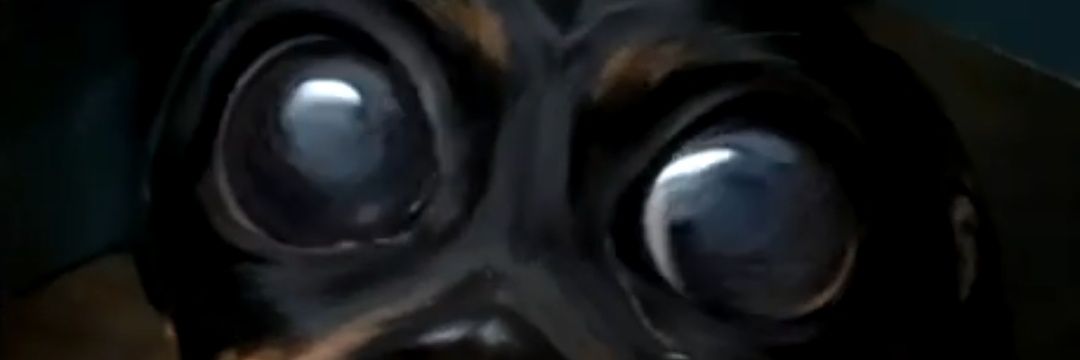 original_sefran's profile banner image