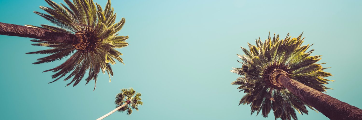 Shutterstock Brasil banner