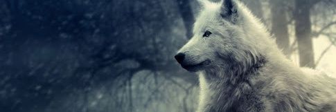 _FurkanBulbul's profile banner image