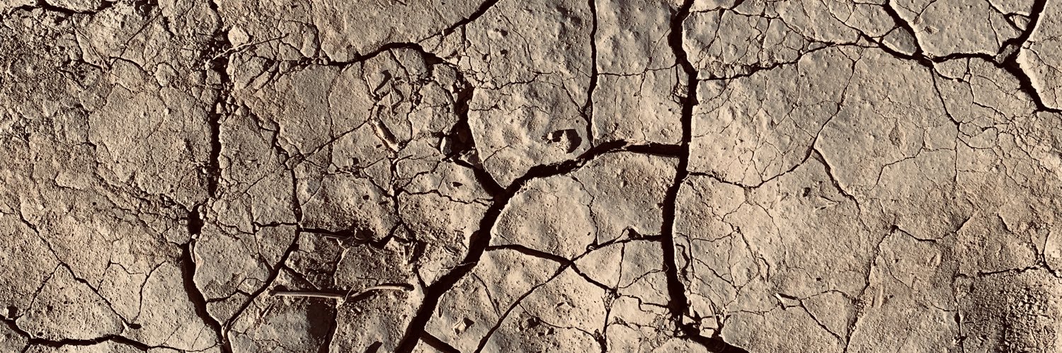 Sergio Pedraza Vizcaya banner