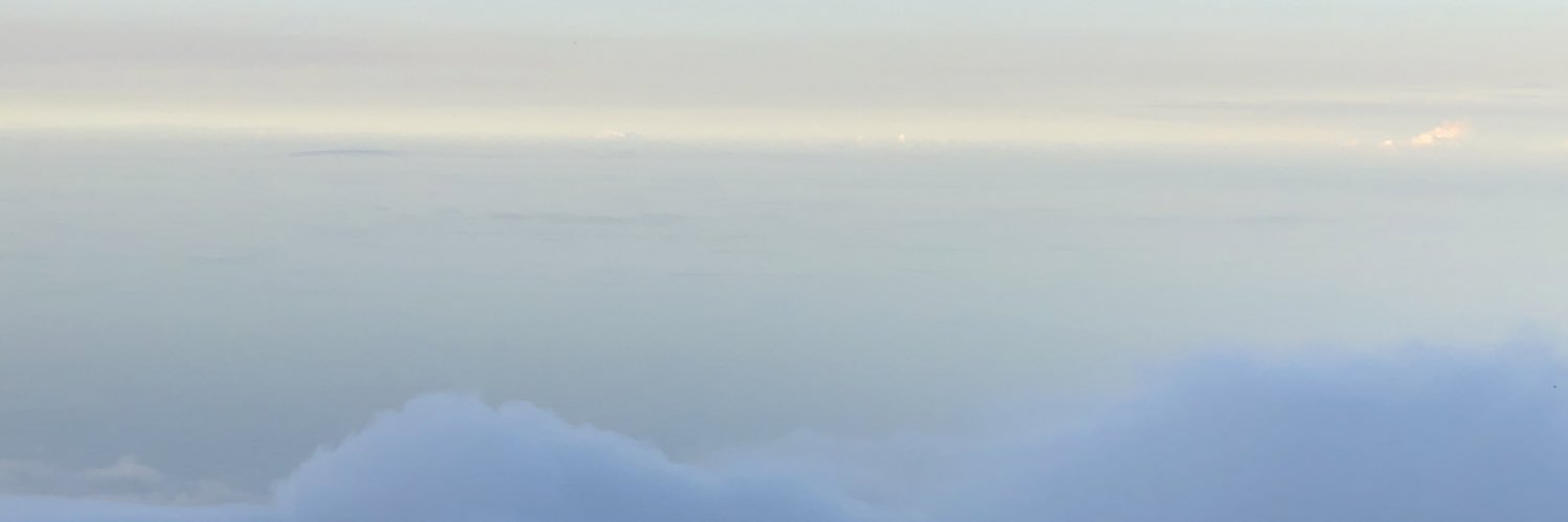 dcontrera's profile banner image