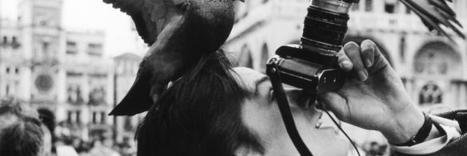 Massimo Morelli banner