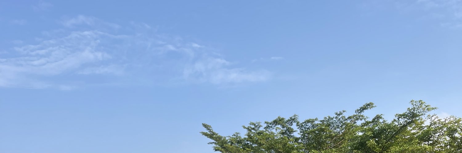 SayoDada's profile banner image