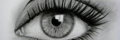 P. banner