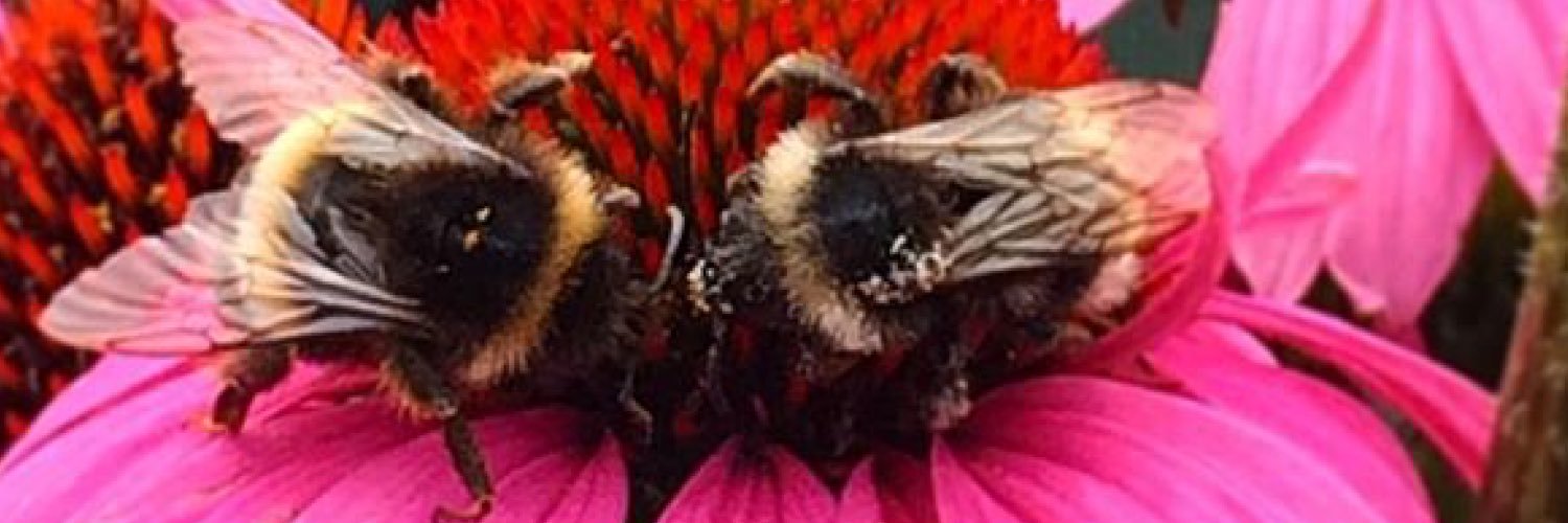 ZoeLatham's profile banner image