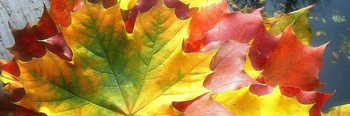 ak_iknur's profile banner image