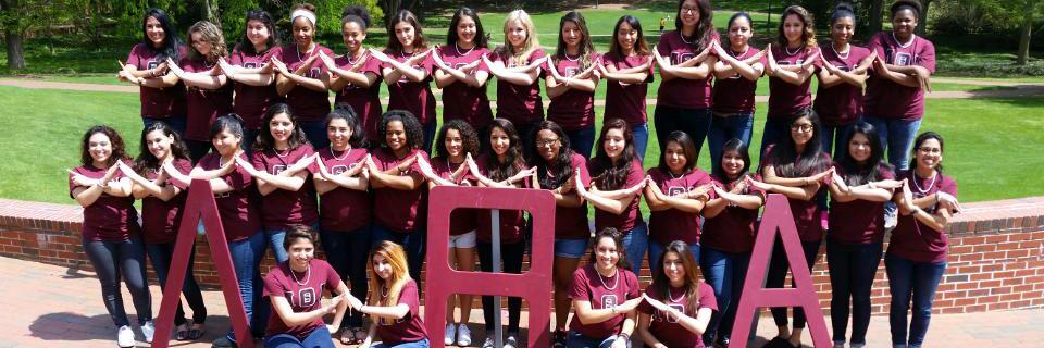 Caíla Holley | Queen C banner