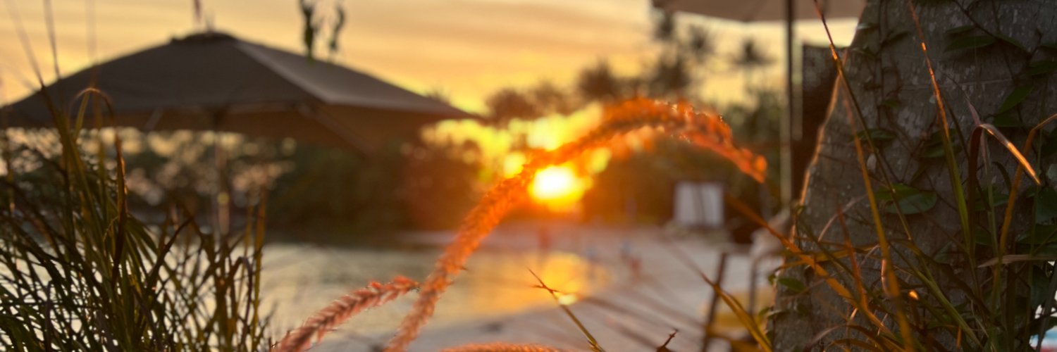3311sg's profile banner image