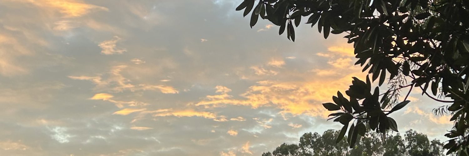 fggas_bip's profile banner image