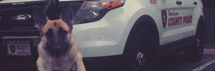 SeanClugston14's profile banner image