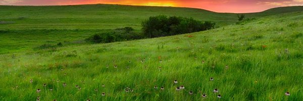 KonzaLTER Profile Banner