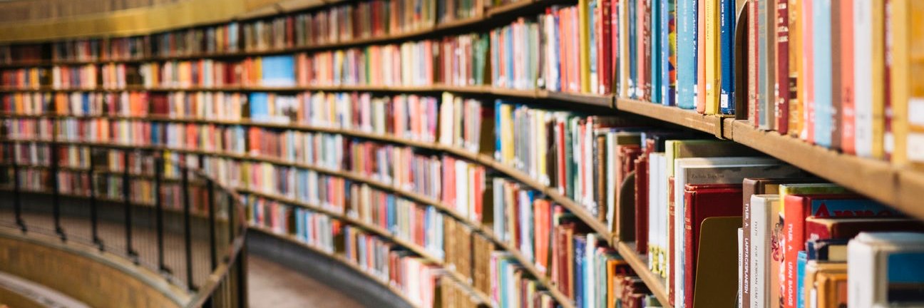 Librarian Voices banner