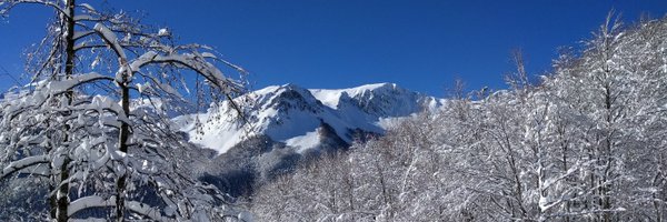 gioanceschi Profile Banner