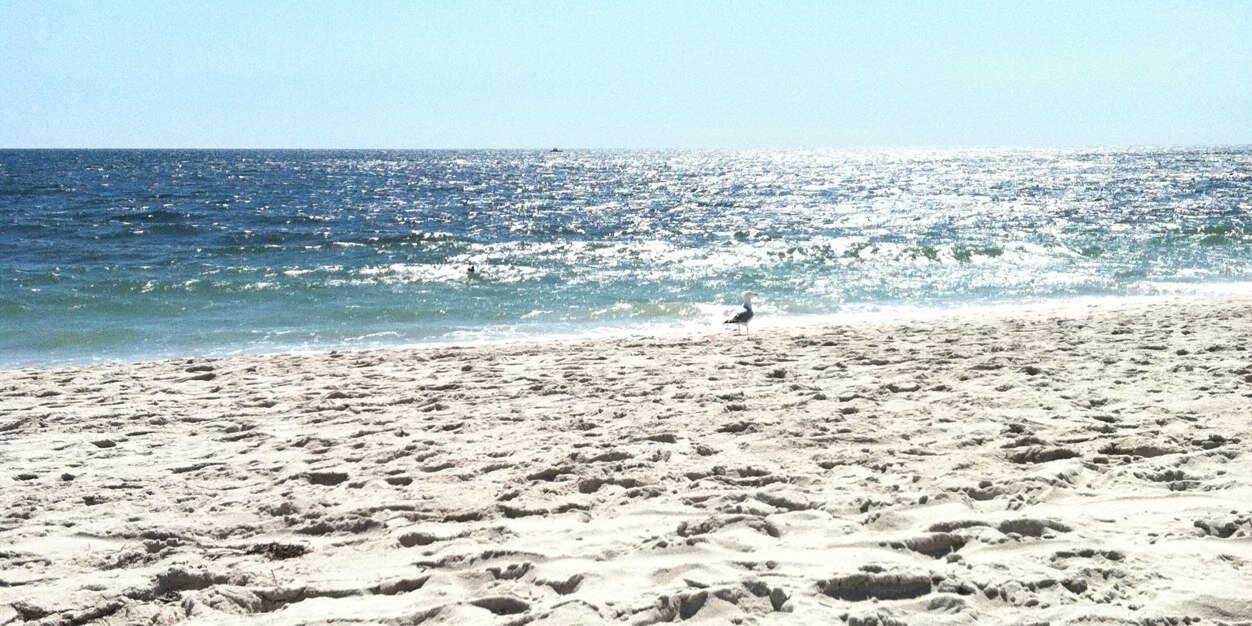 Liz Leone-Goodman banner