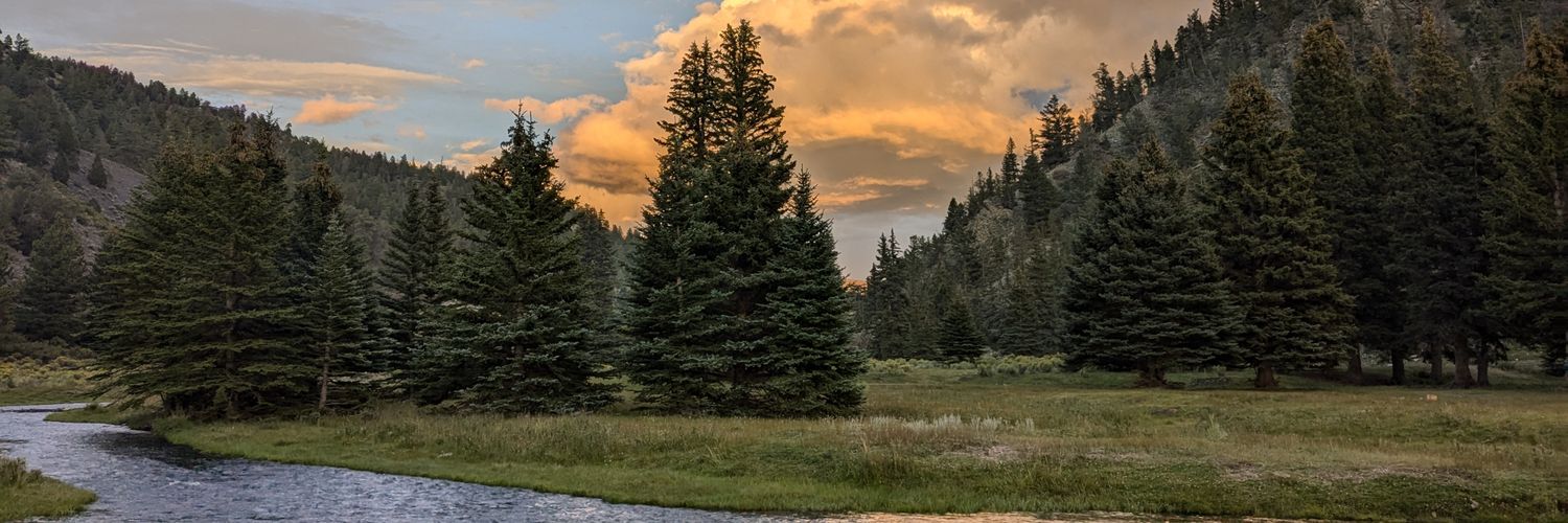 laughmichael's profile banner image