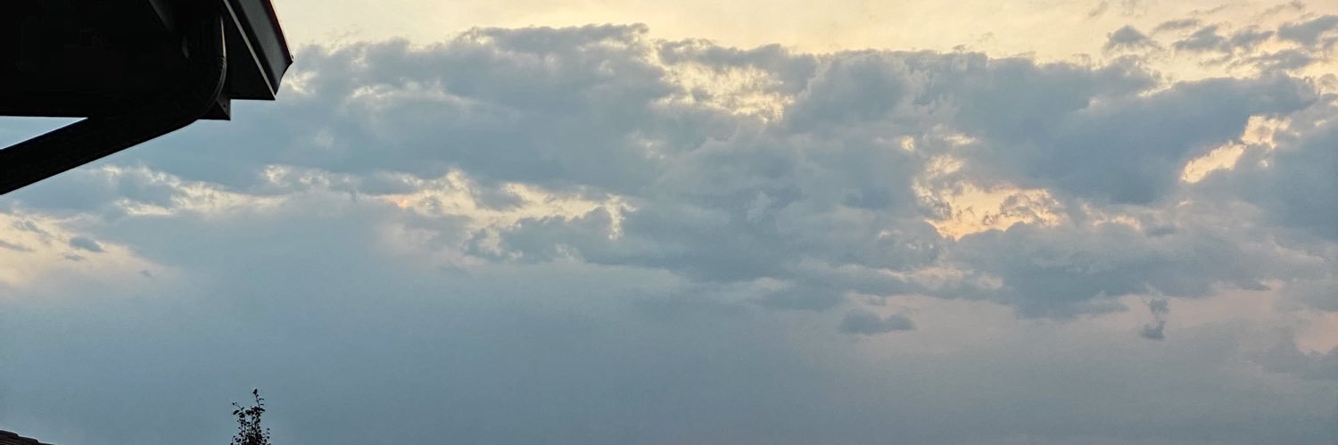 KenzieWinslow's profile banner image