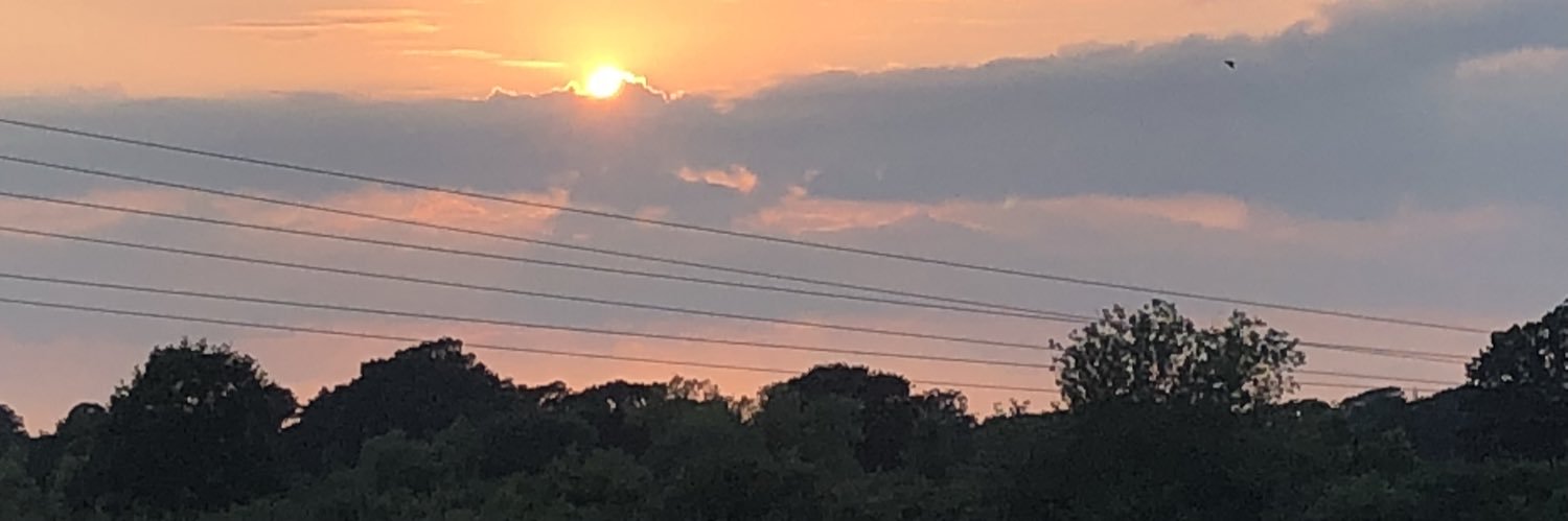 TheTeeth's profile banner image