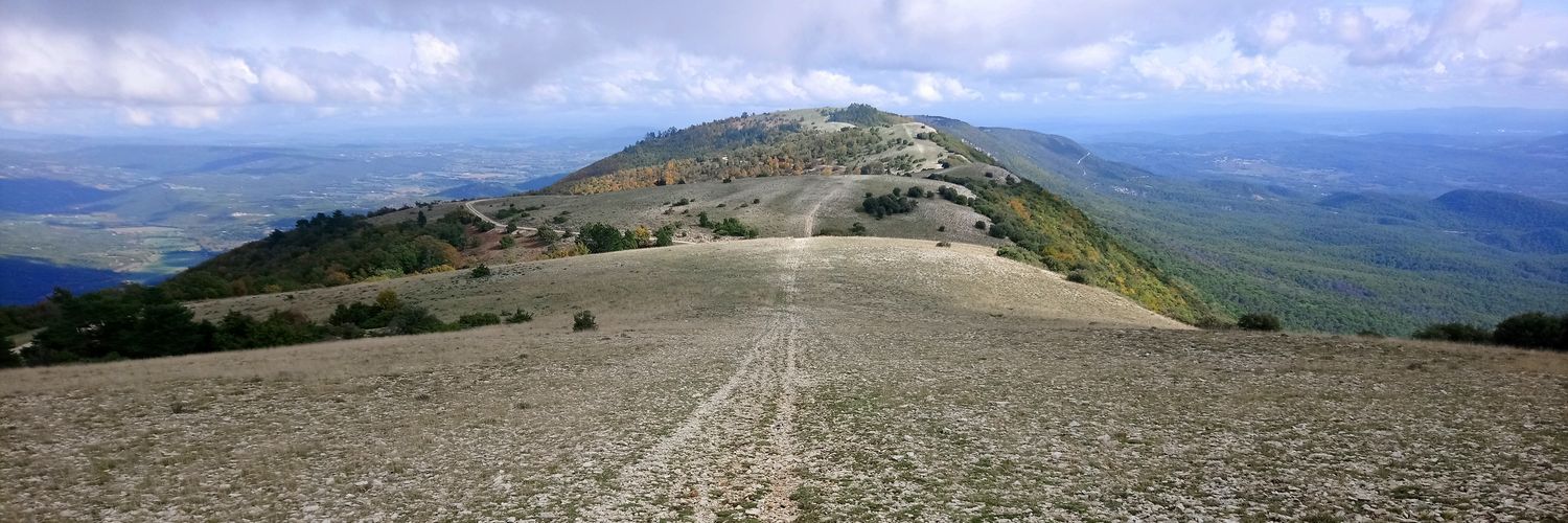 tpuigventos's profile banner image