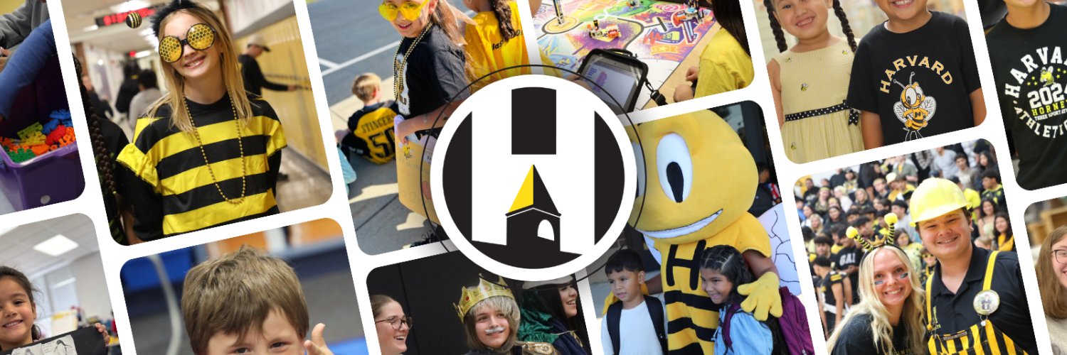 HarvardD50's profile banner image
