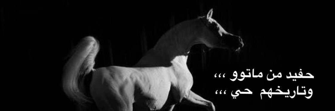 aqlaa7174's profile banner image