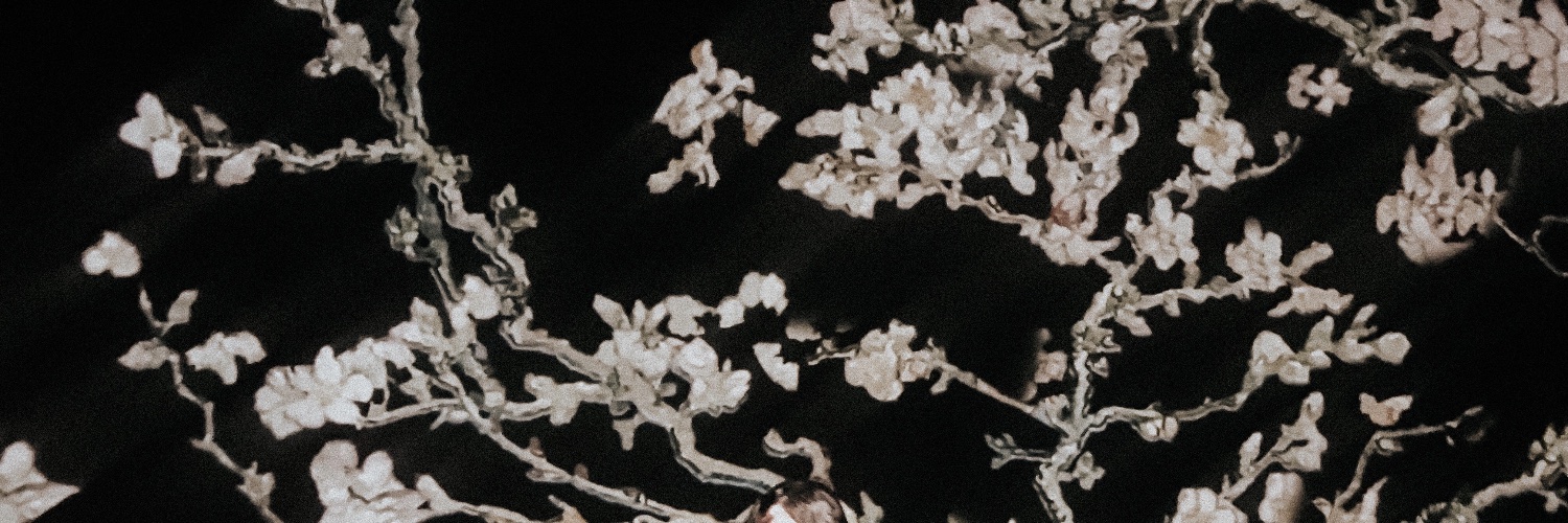 HelenaLuize's profile banner image