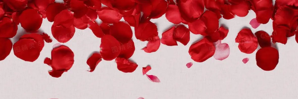 RoWestry's profile banner image