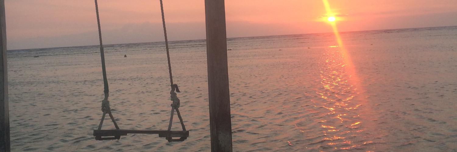 rachnicholson1's profile banner image