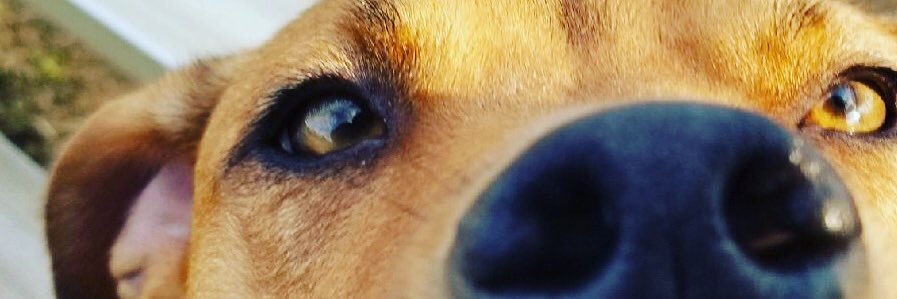 A_Reed10's profile banner image