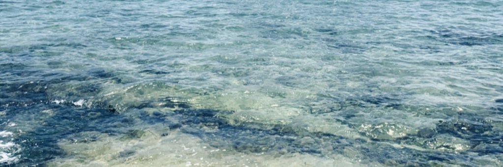 je. banner