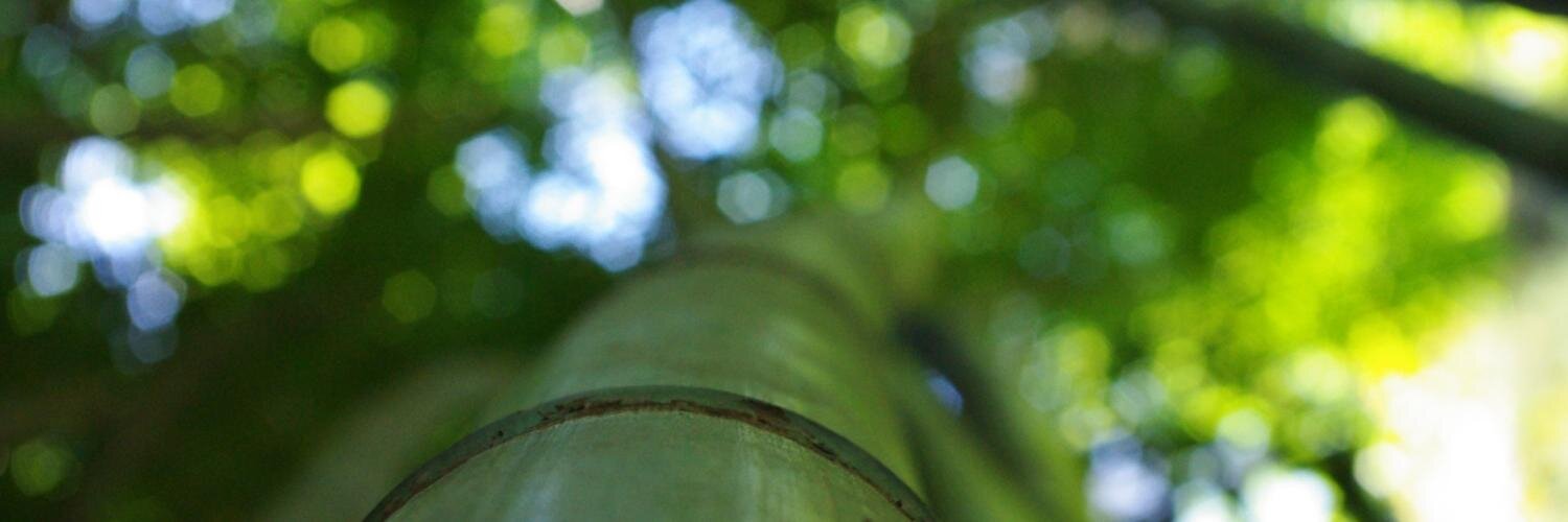 Graillot Vincent banner