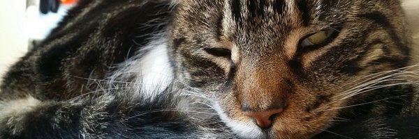 RozaWoza Profile Banner